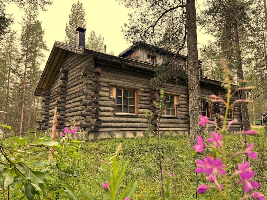 Kittilä Lapland Cabin Levi מראה חיצוני תמונה
